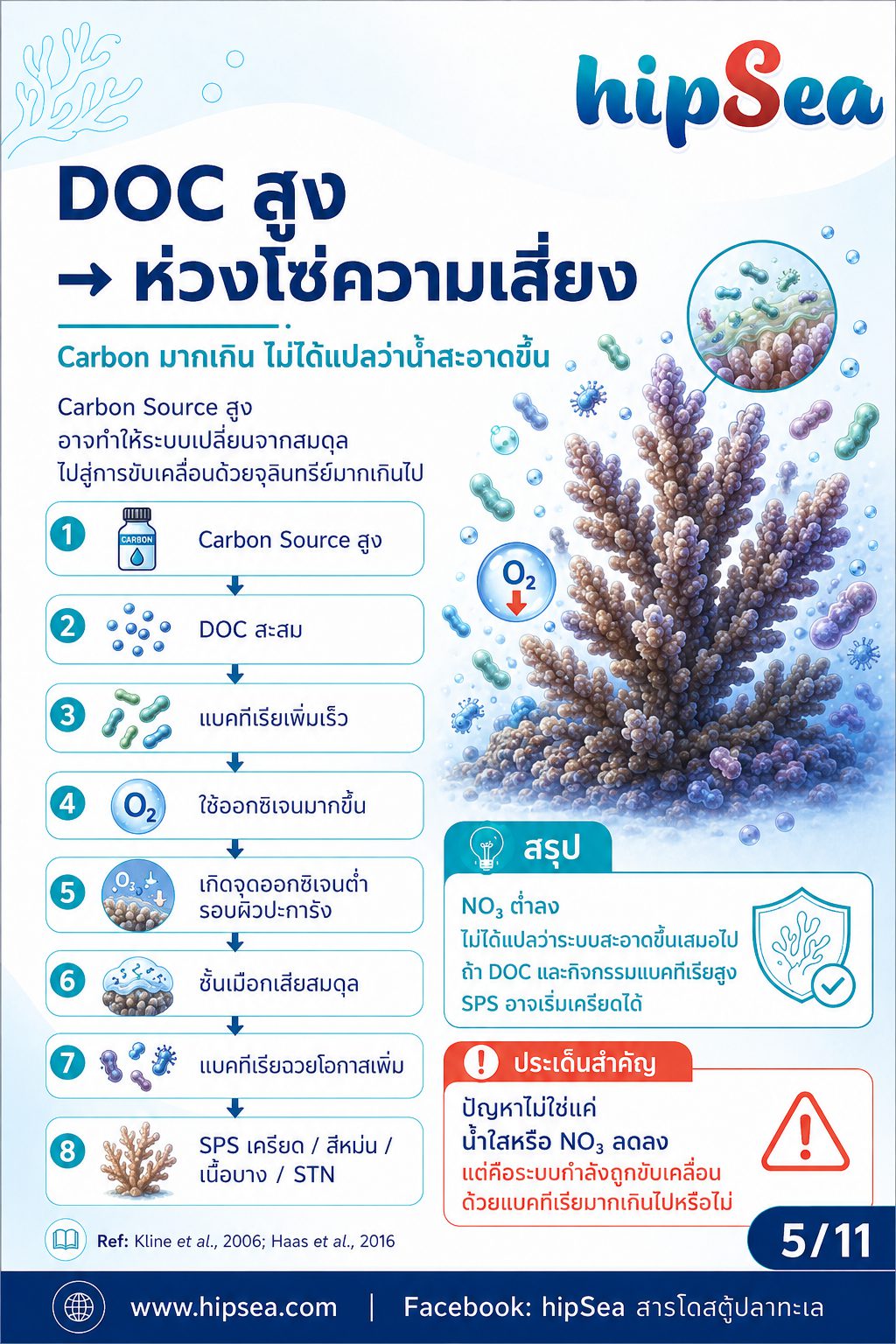 Coral Microbiome + VSV - เมือก, แบคทีเรีย, bacteria, stn, rtn