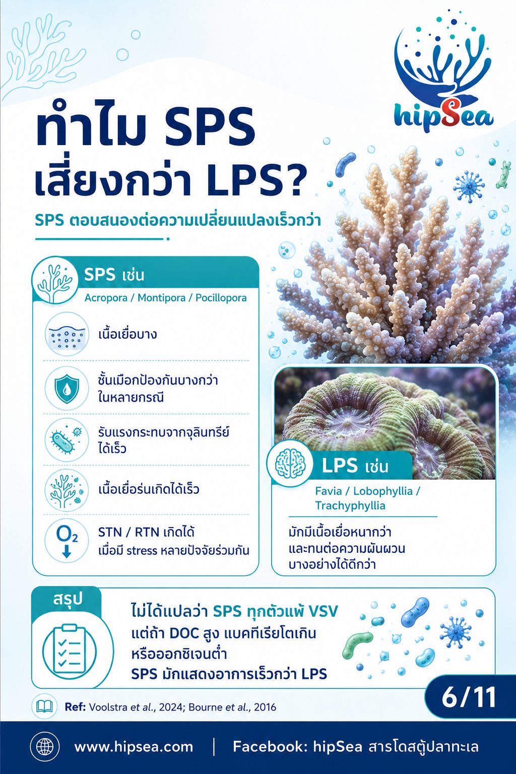 Coral Microbiome + VSV - เมือก, แบคทีเรีย, bacteria, stn, rtn