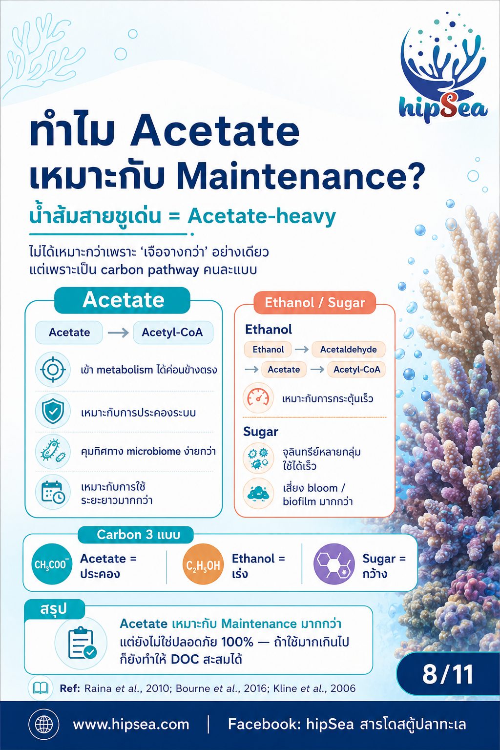 Coral Microbiome + VSV - เมือก, แบคทีเรีย, bacteria, stn, rtn