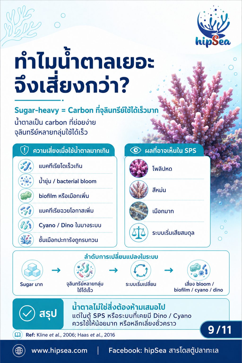 Coral Microbiome + VSV - เมือก, แบคทีเรีย, bacteria, stn, rtn