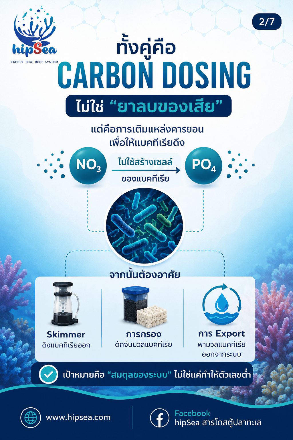 VSV vs Bio pellets - แบคทีเรีย, bacteria