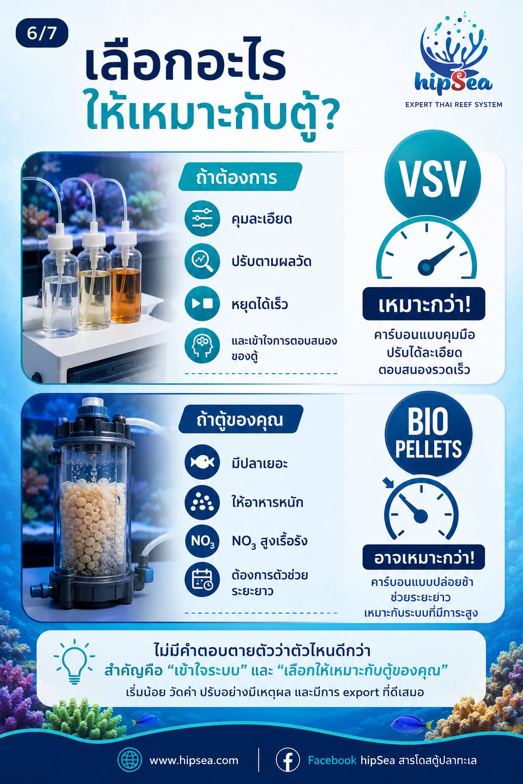 VSV vs Bio pellets - แบคทีเรีย, bacteria