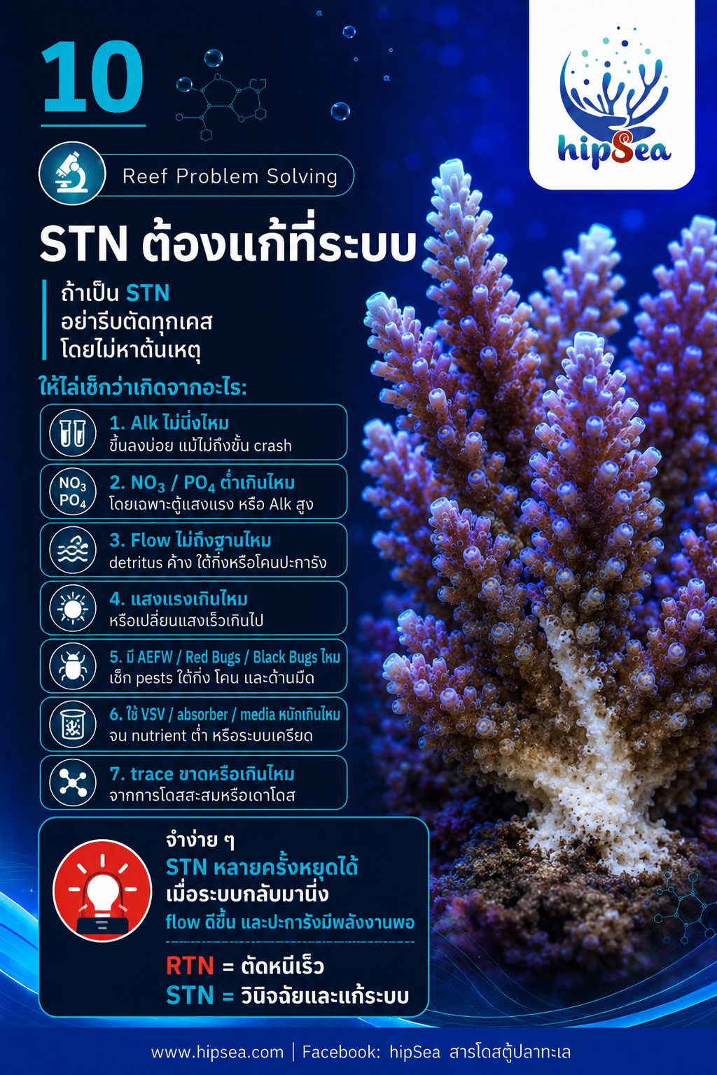 STN - RTN คืออะไร - Tissue, Necrosis