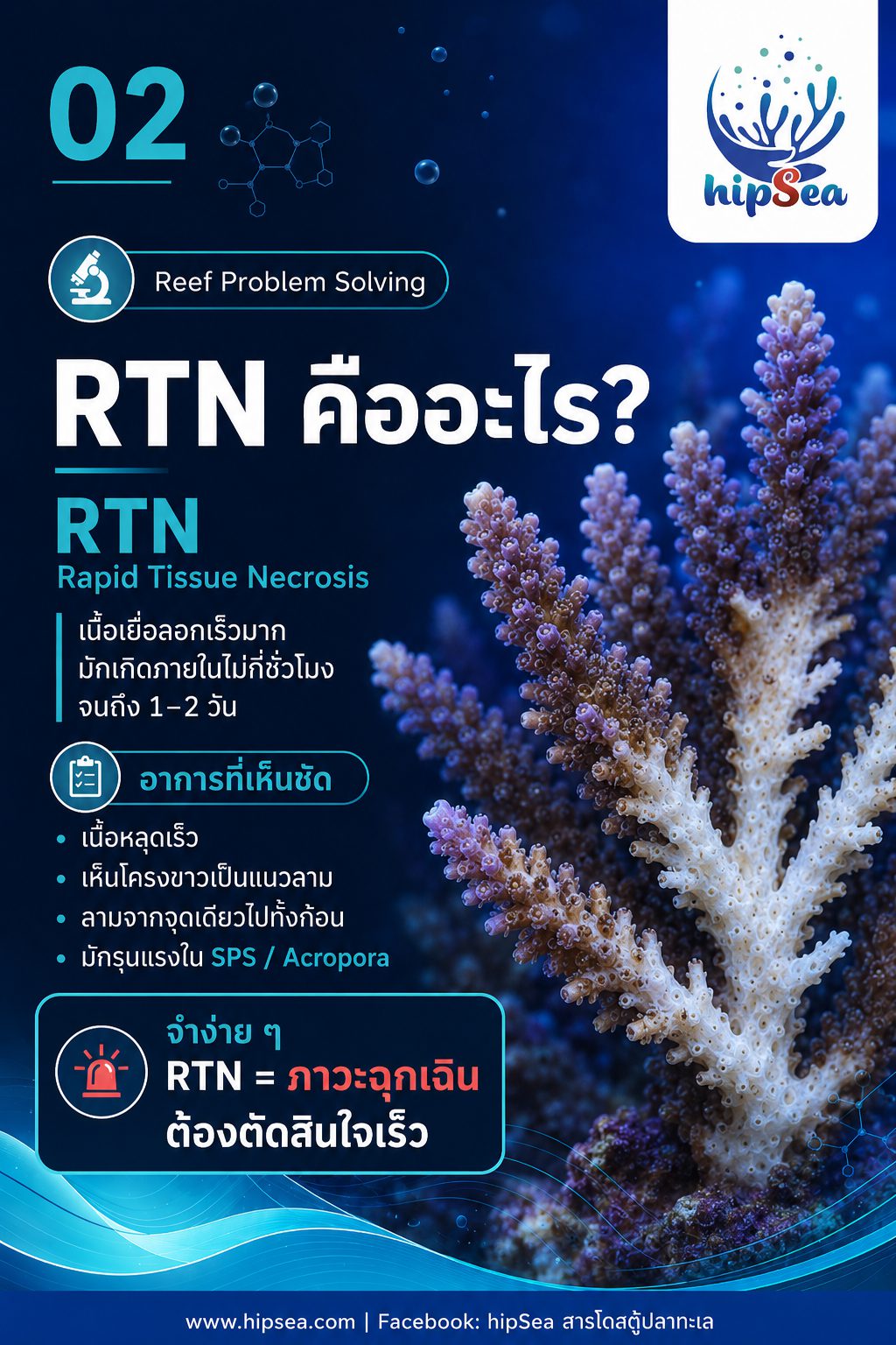 STN - RTN คืออะไร - Tissue, Necrosis