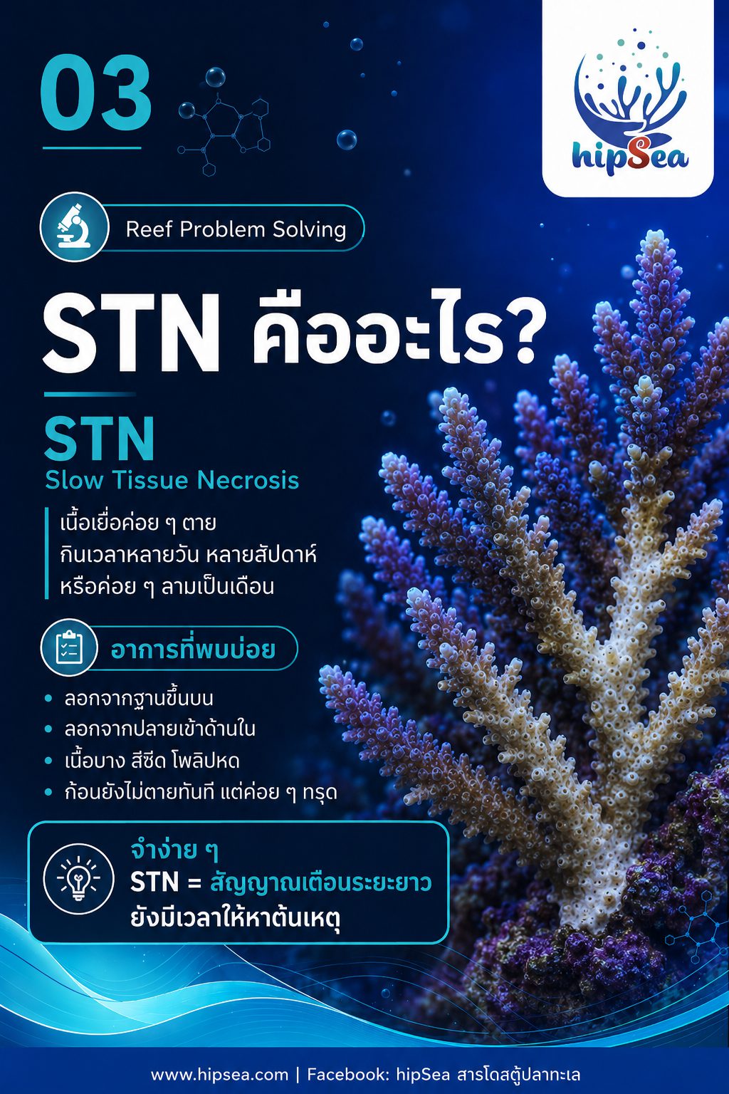 STN - RTN คืออะไร - Tissue, Necrosis