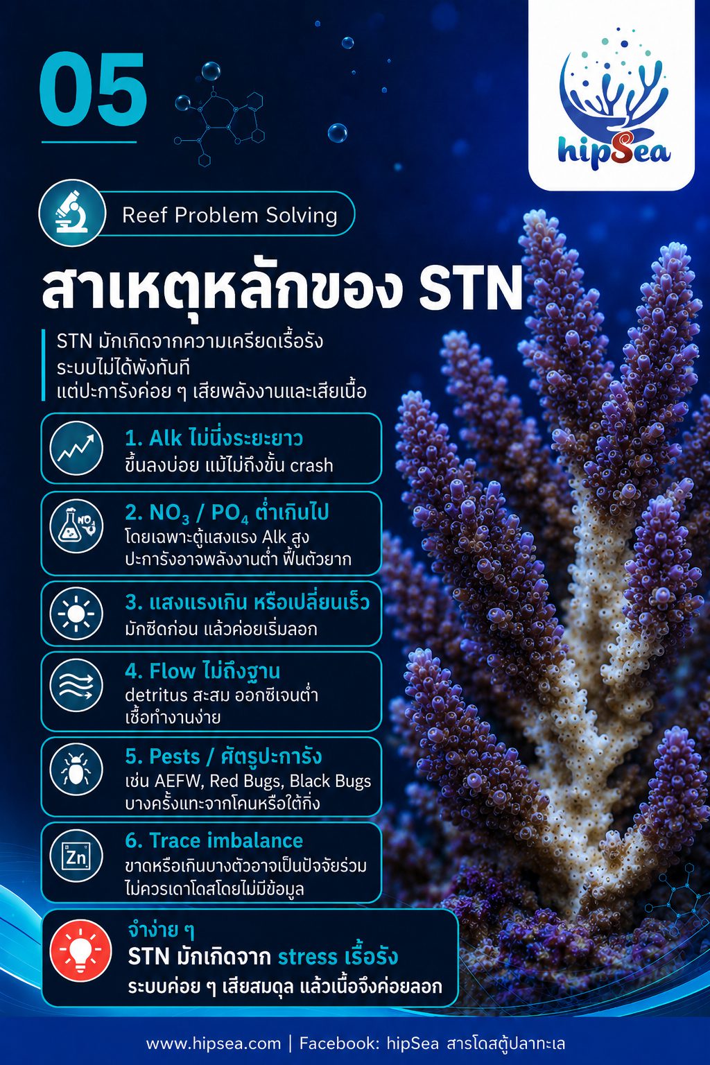STN - RTN คืออะไร - Tissue, Necrosis
