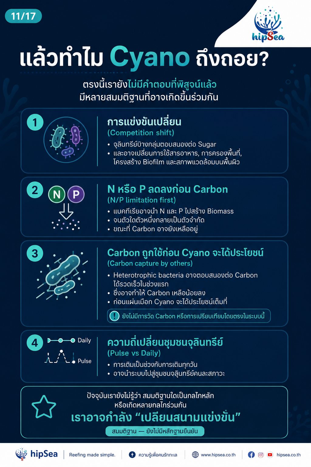 Cyanobacteria - ไซยา, น้ำตาล, VSV, Carbon