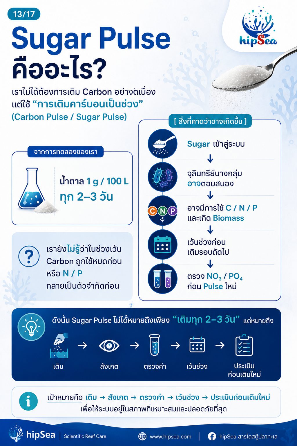 Cyanobacteria - ไซยา, น้ำตาล, VSV, Carbon