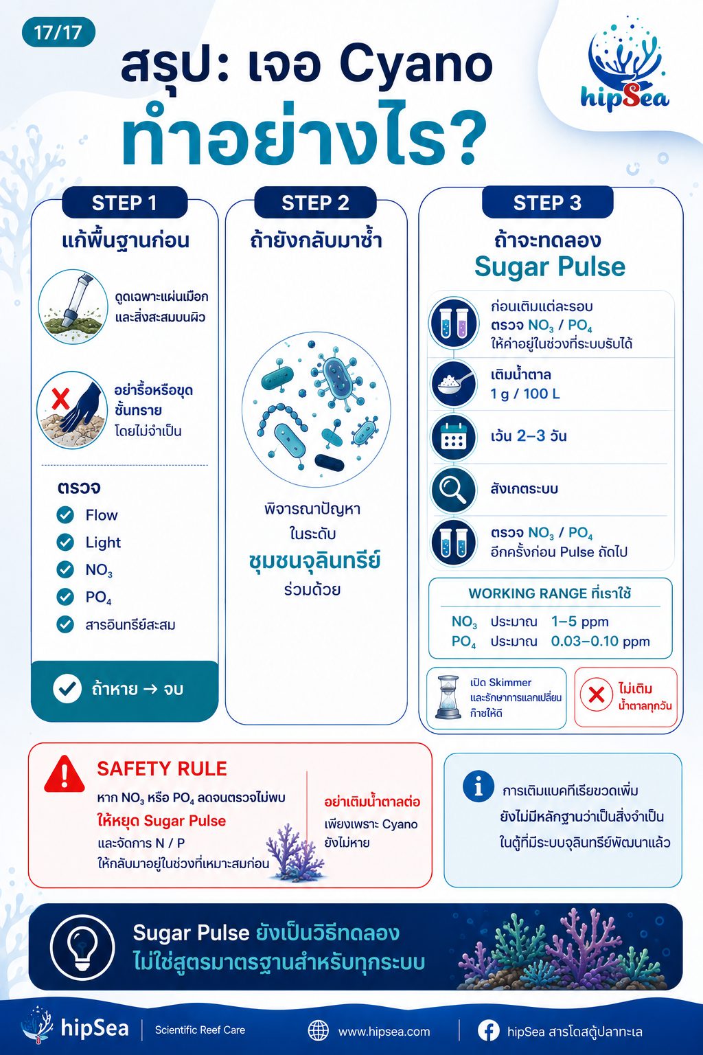 Cyanobacteria - ไซยา, น้ำตาล, VSV, Carbon