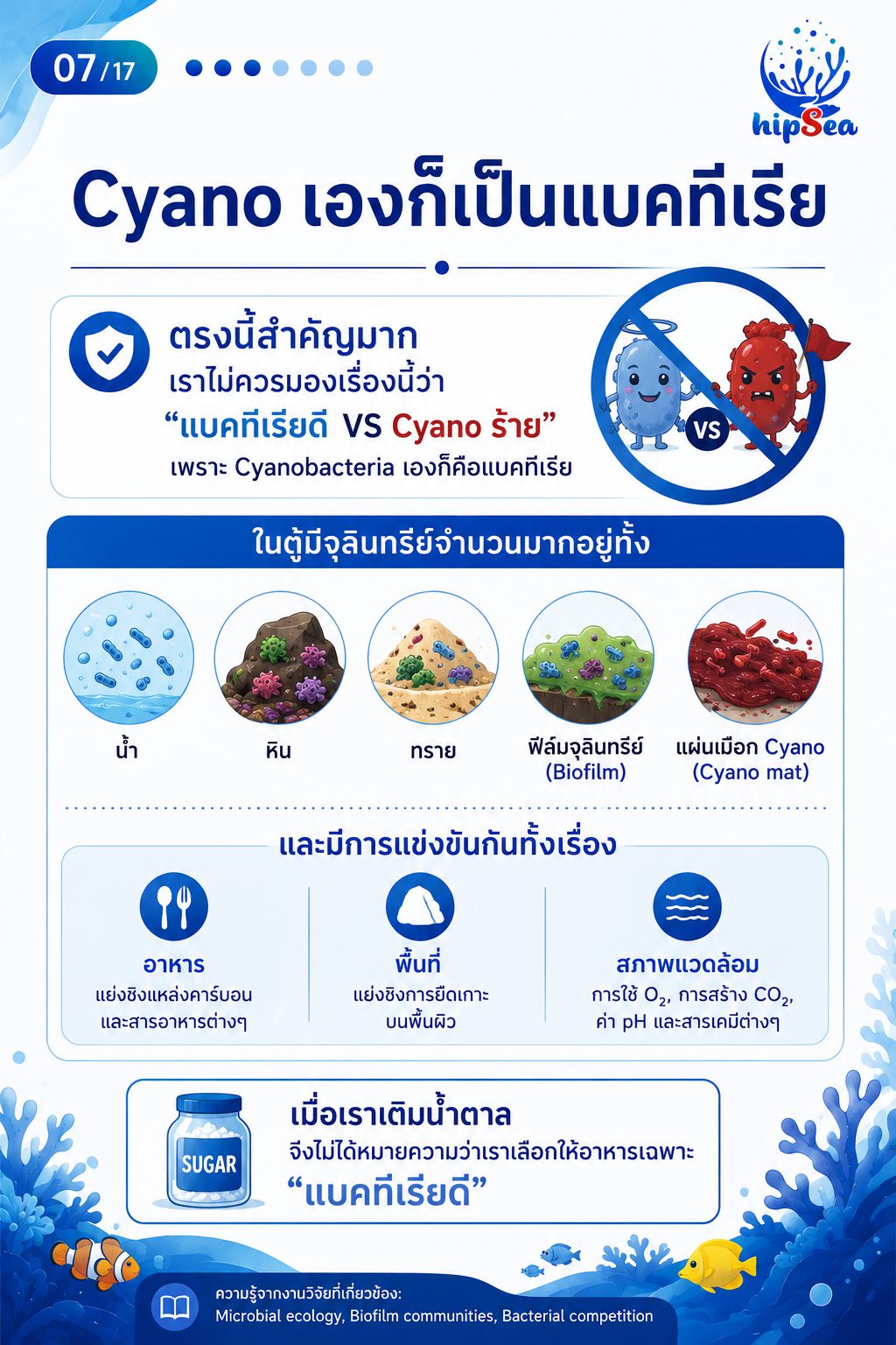 Cyanobacteria - ไซยา, น้ำตาล, VSV, Carbon