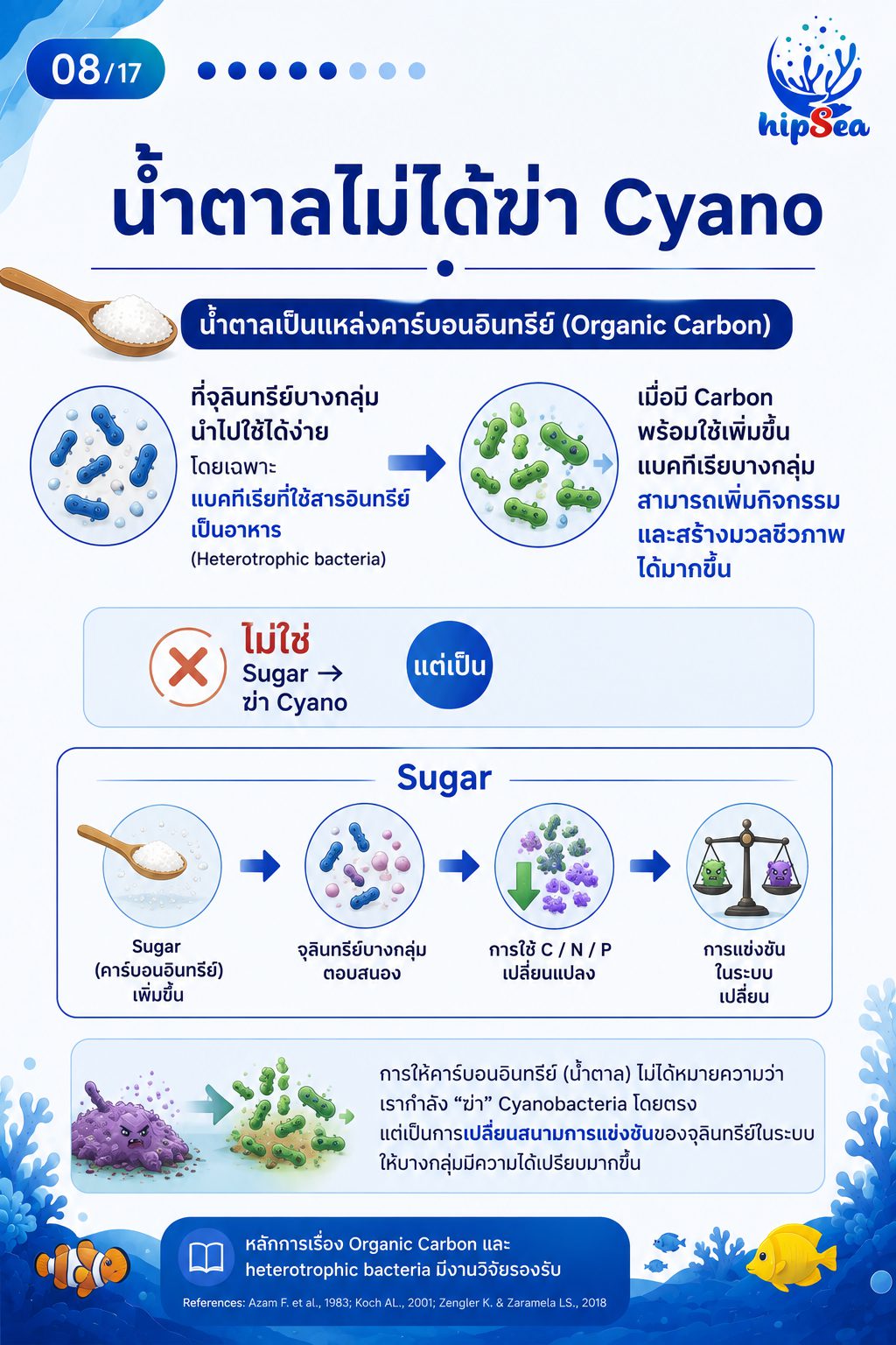 Cyanobacteria - ไซยา, น้ำตาล, VSV, Carbon