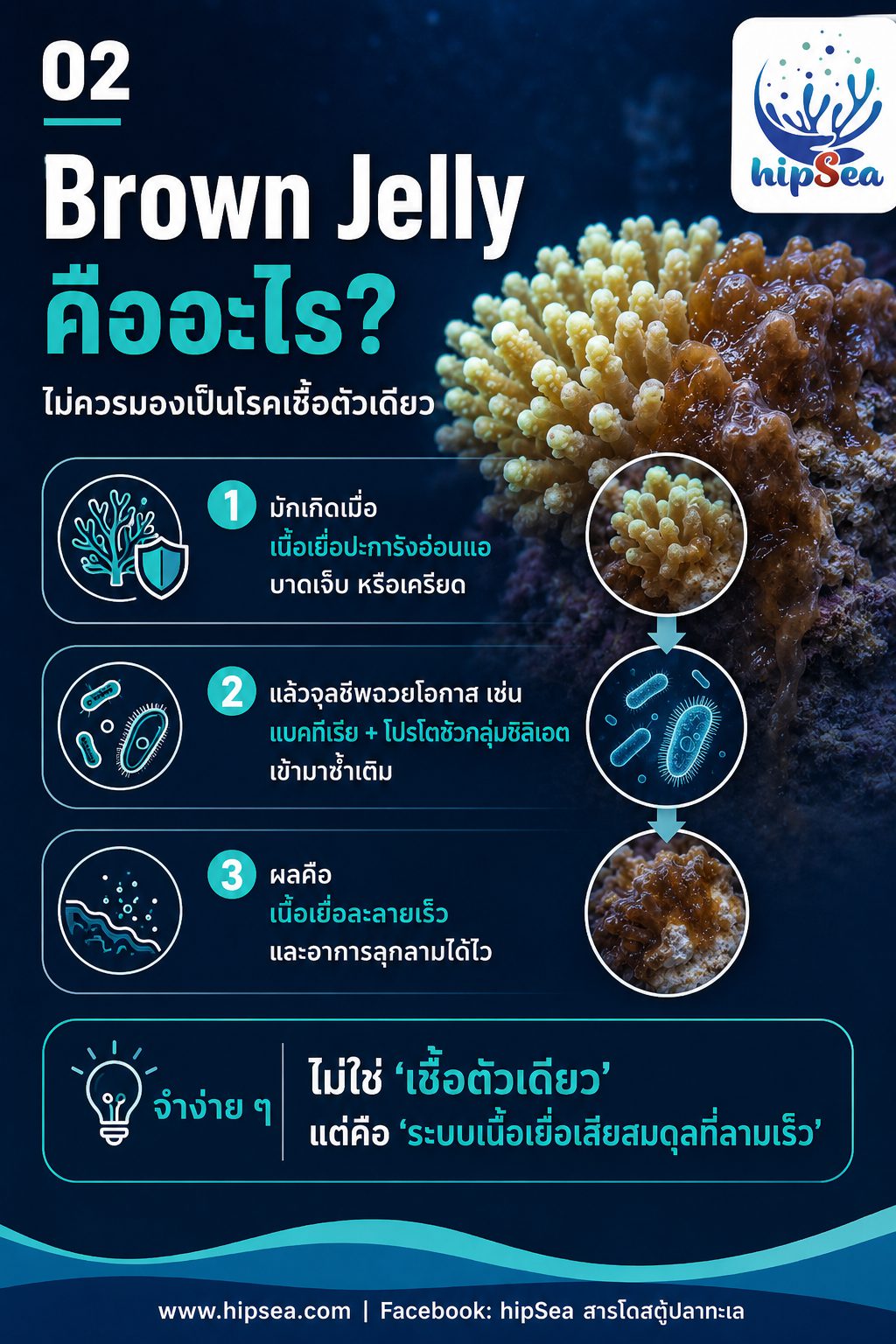 Brown Jelly - เมือก, สีน้ำตาล, โรค