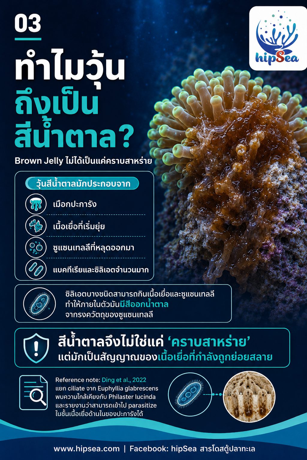 Brown Jelly - เมือก, สีน้ำตาล, โรค