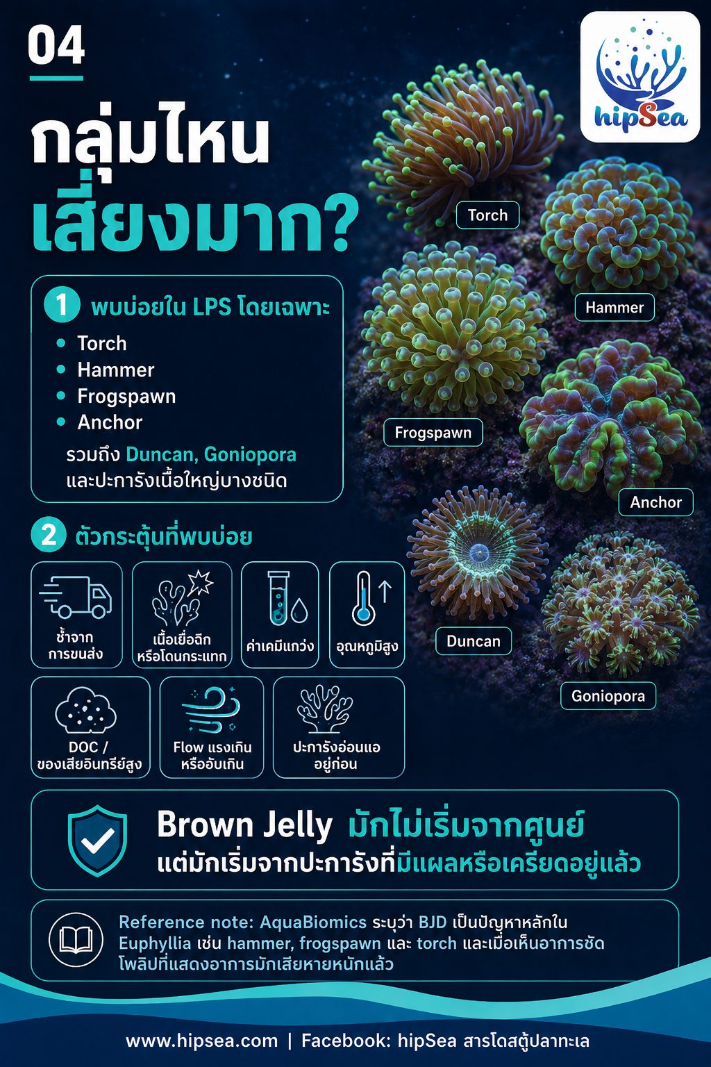 Brown Jelly - เมือก, สีน้ำตาล, โรค