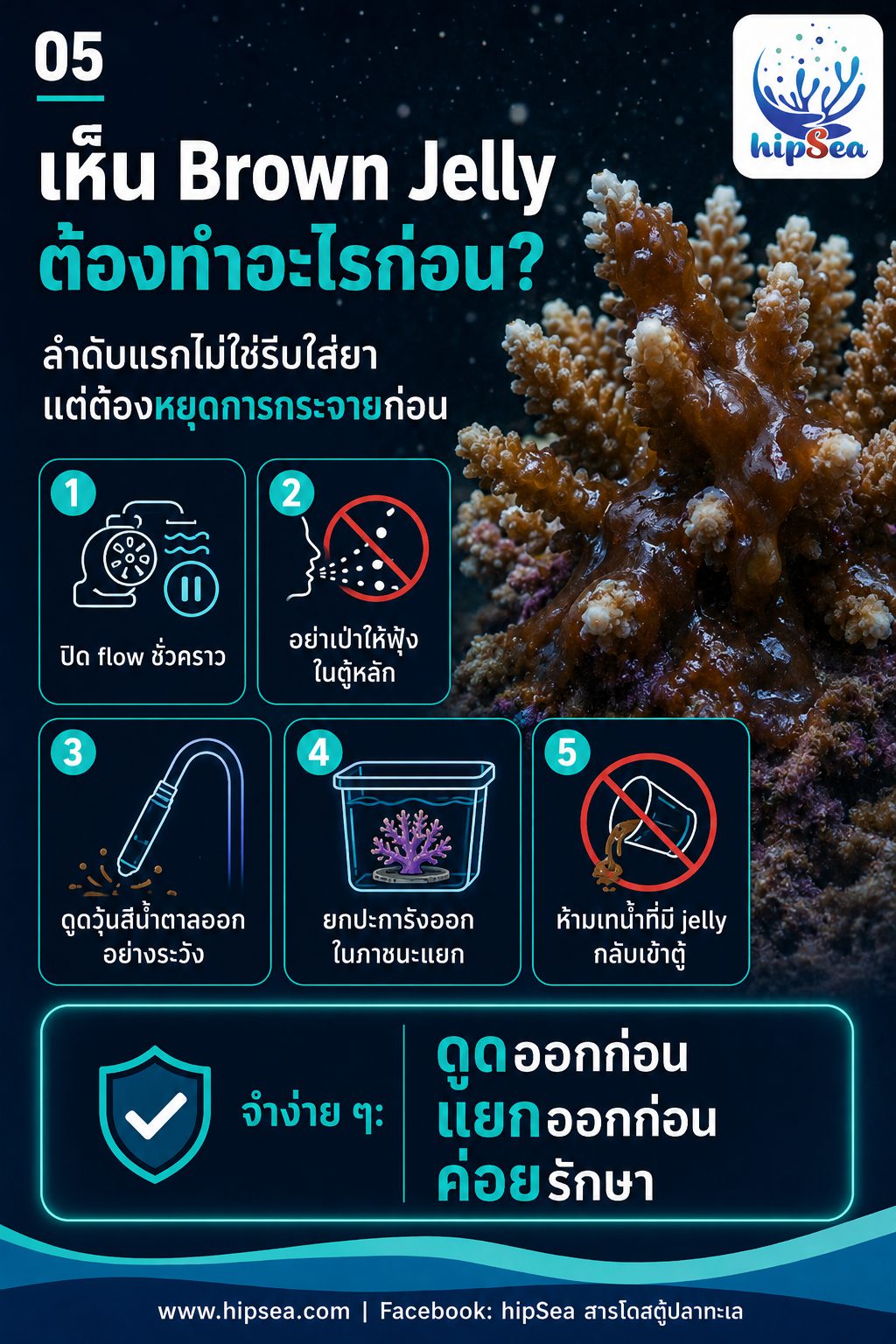 Brown Jelly - เมือก, สีน้ำตาล, โรค