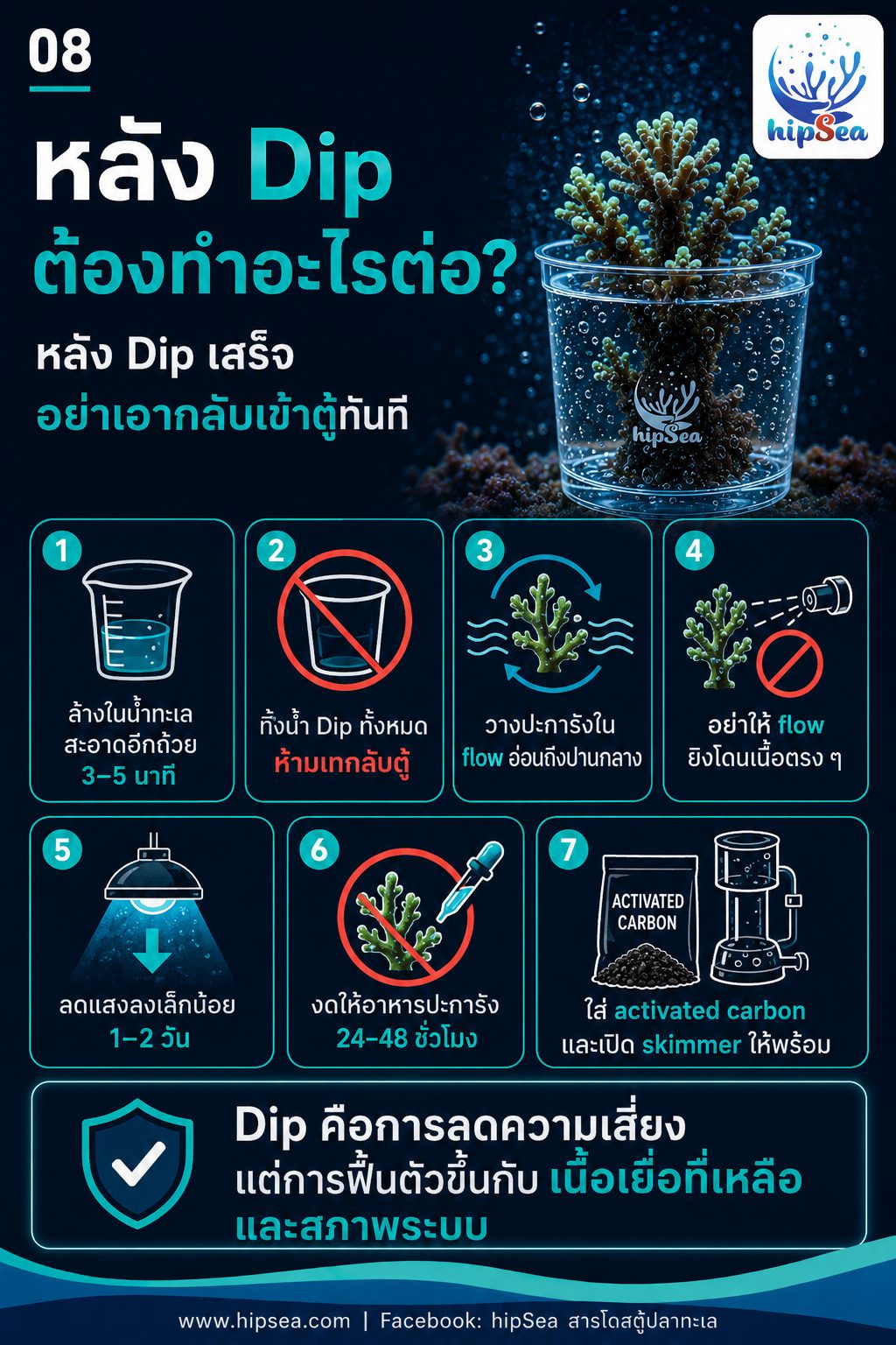Brown Jelly - เมือก, สีน้ำตาล, โรค