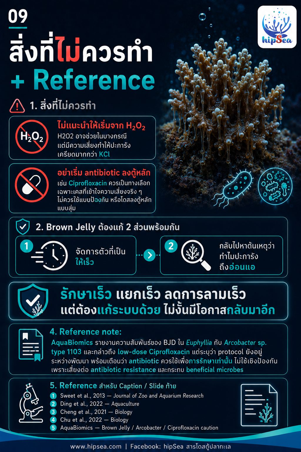 Brown Jelly - เมือก, สีน้ำตาล, โรค