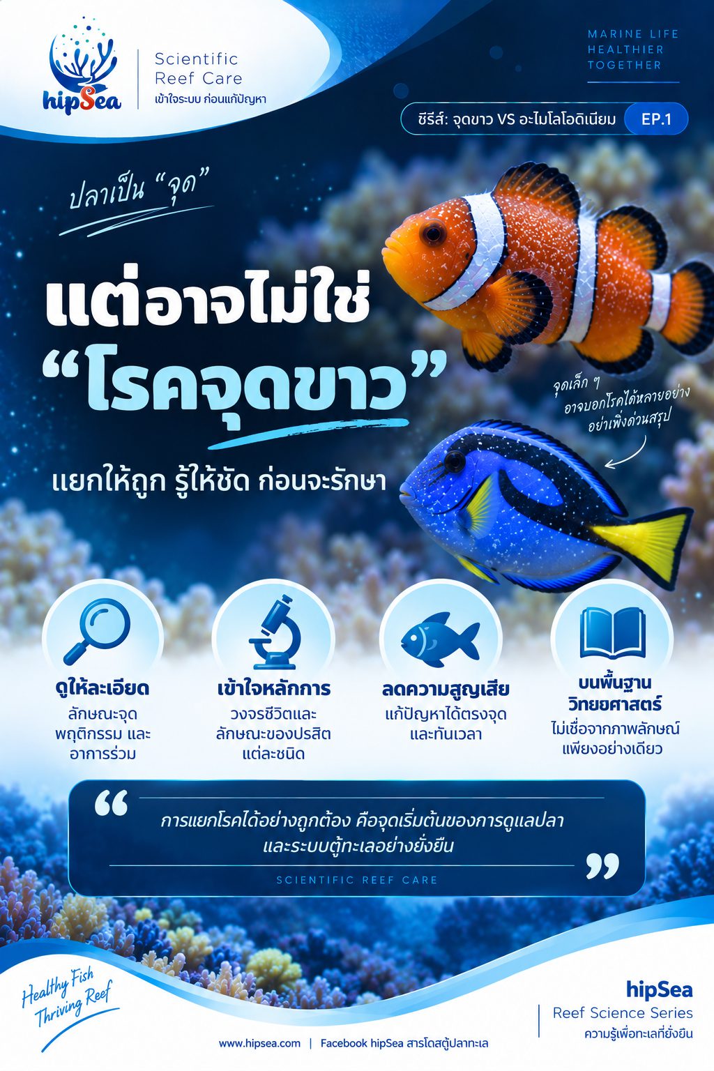 จุดขาว vs ออดิเนียม EP1 - โรค, ป่วย, กัก, รักษา