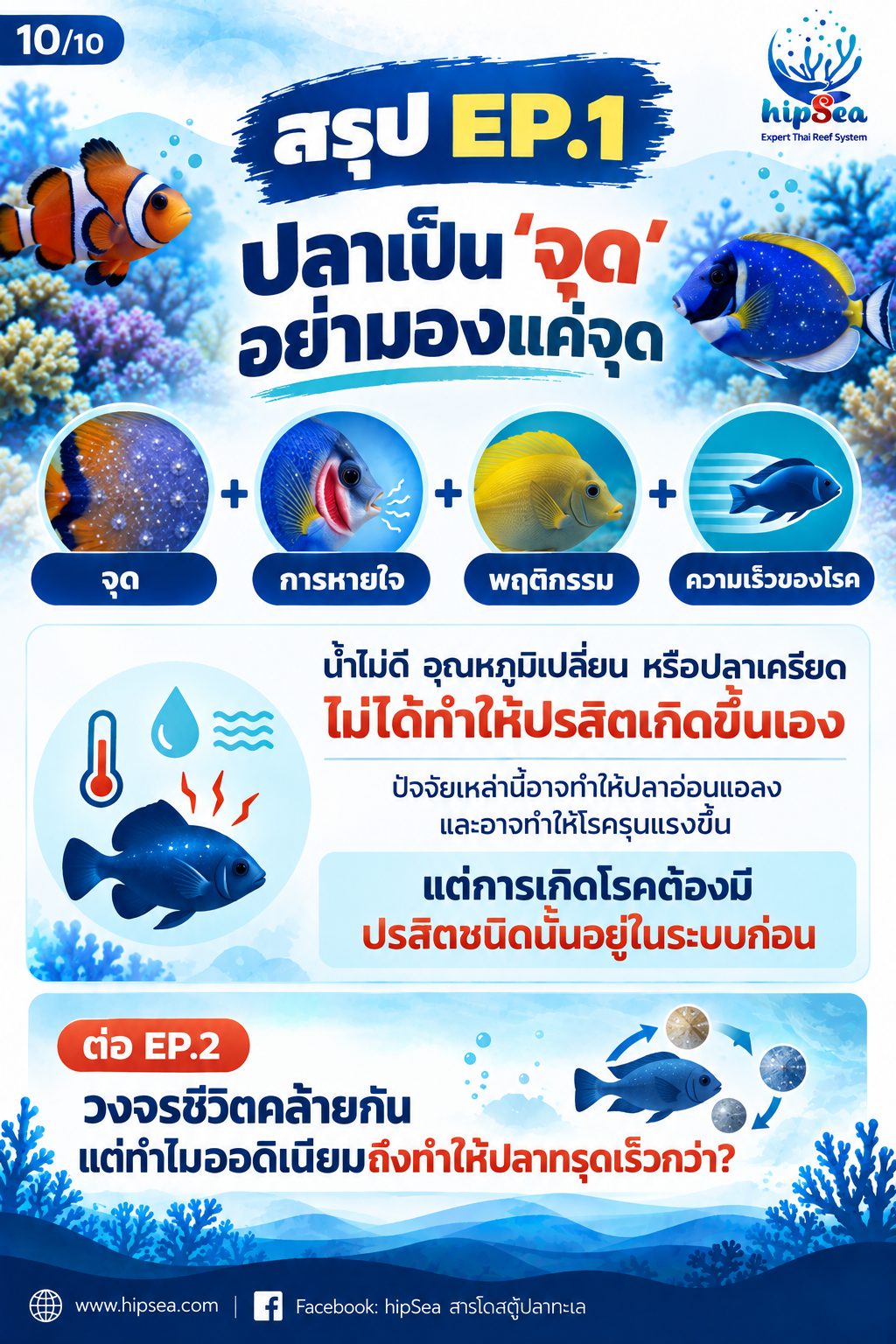 จุดขาว vs ออดิเนียม EP1 - โรค, ป่วย, กัก, รักษา