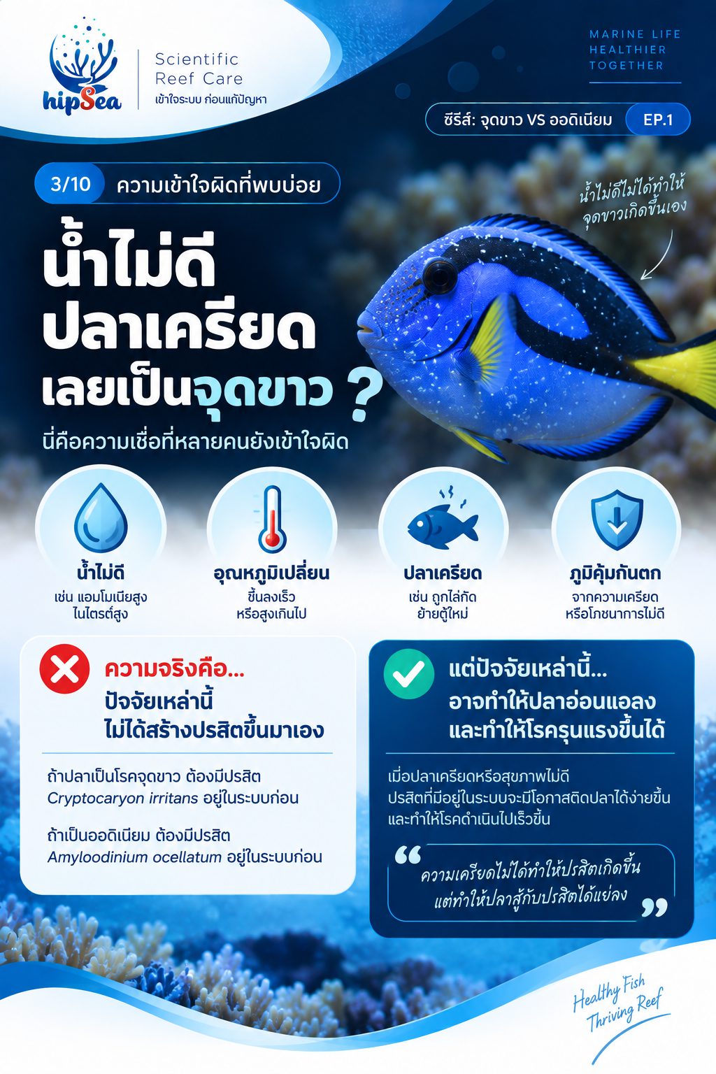 จุดขาว vs ออดิเนียม EP1 - โรค, ป่วย, กัก, รักษา