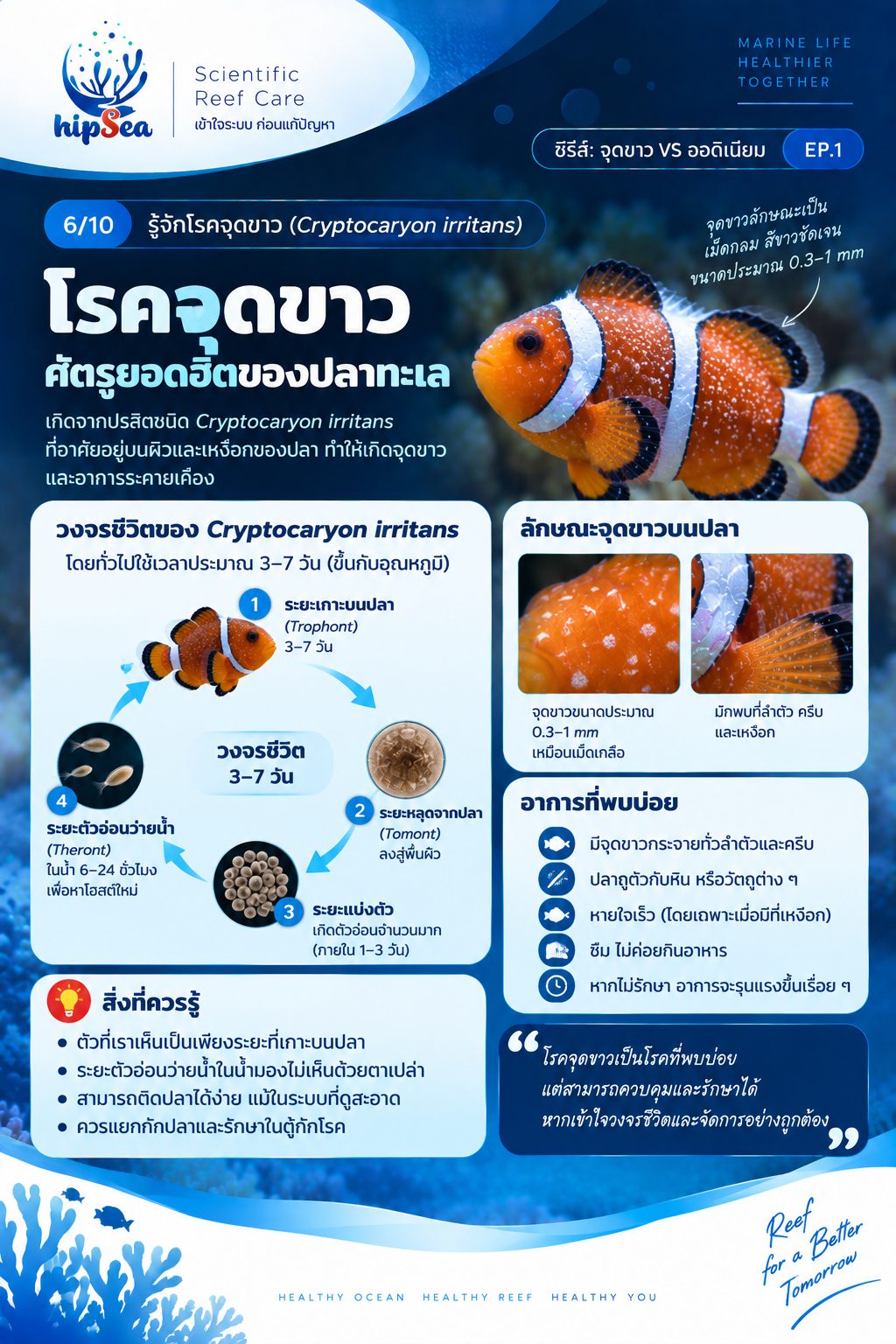 จุดขาว vs ออดิเนียม EP1 - โรค, ป่วย, กัก, รักษา