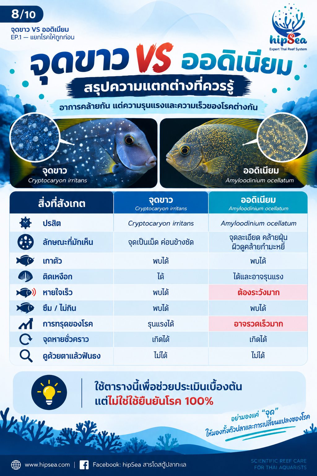 จุดขาว vs ออดิเนียม EP1 - โรค, ป่วย, กัก, รักษา