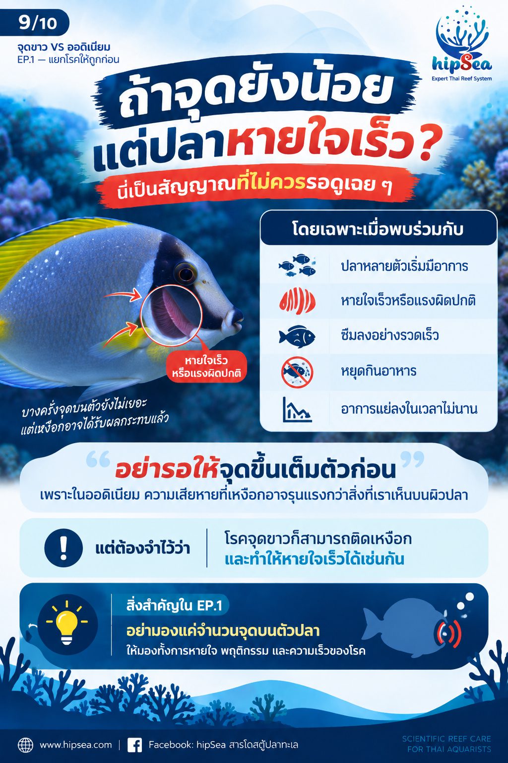 จุดขาว vs ออดิเนียม EP1 - โรค, ป่วย, กัก, รักษา