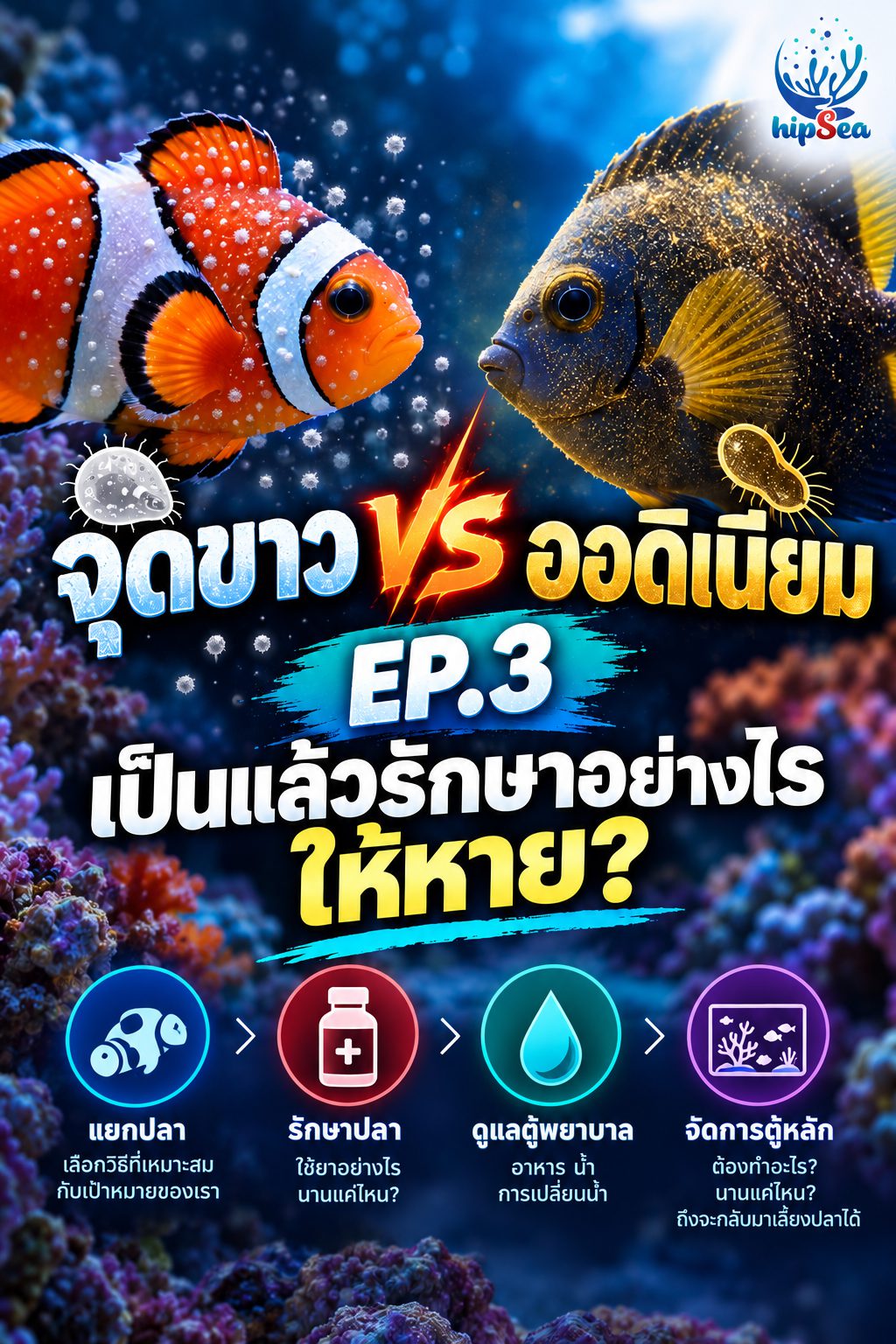 จุดขาว vs ออดิเนียม EP3 - โรค, ป่วย, กัก, รักษา
