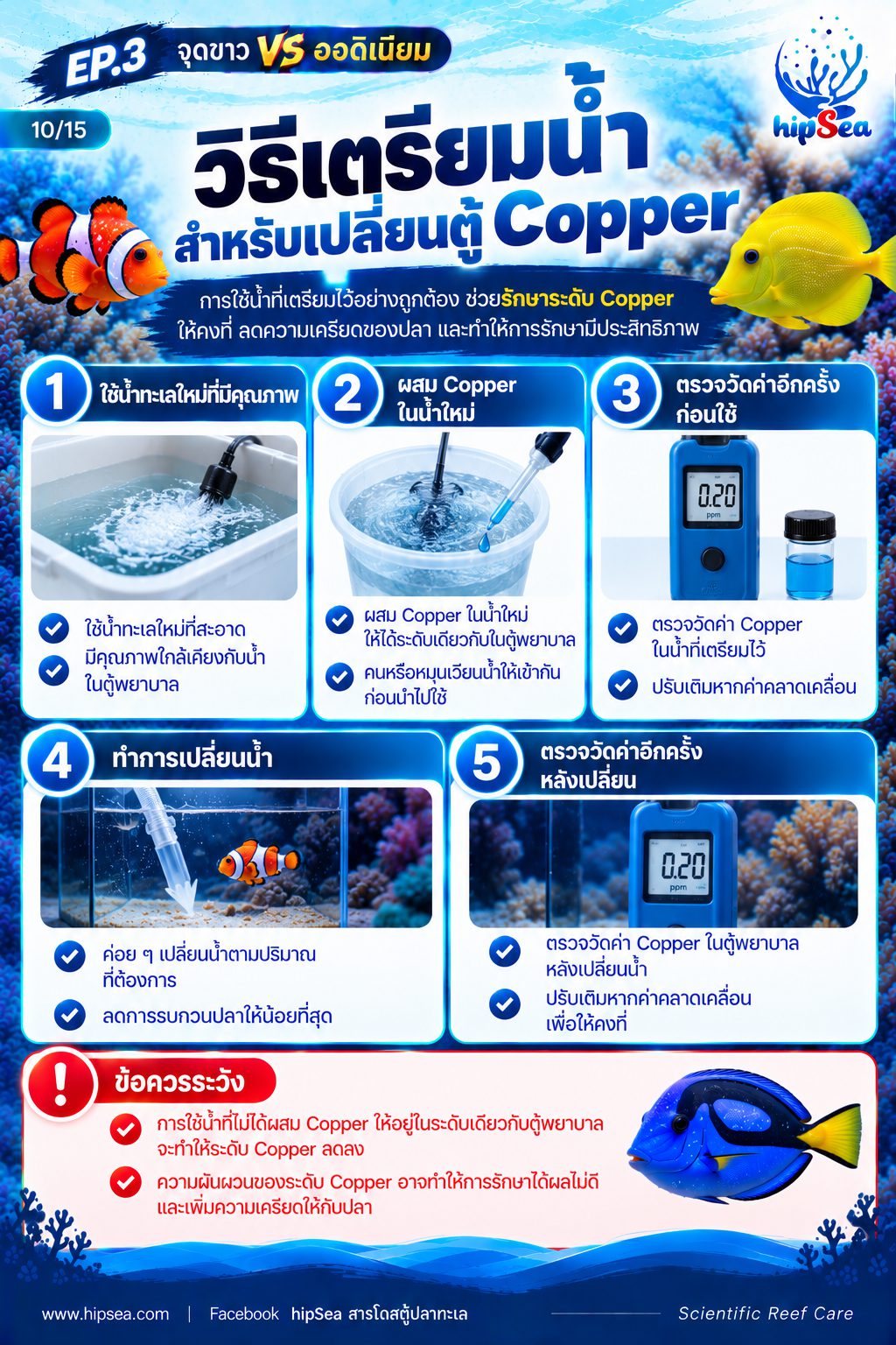 จุดขาว vs ออดิเนียม EP3 - โรค, ป่วย, กัก, รักษา