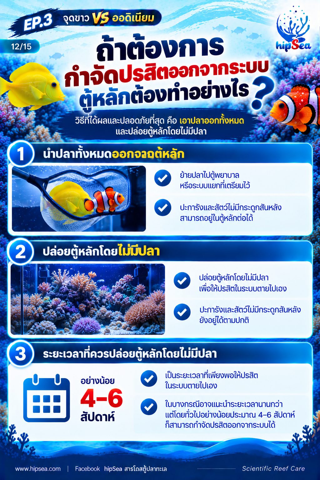 จุดขาว vs ออดิเนียม EP3 - โรค, ป่วย, กัก, รักษา
