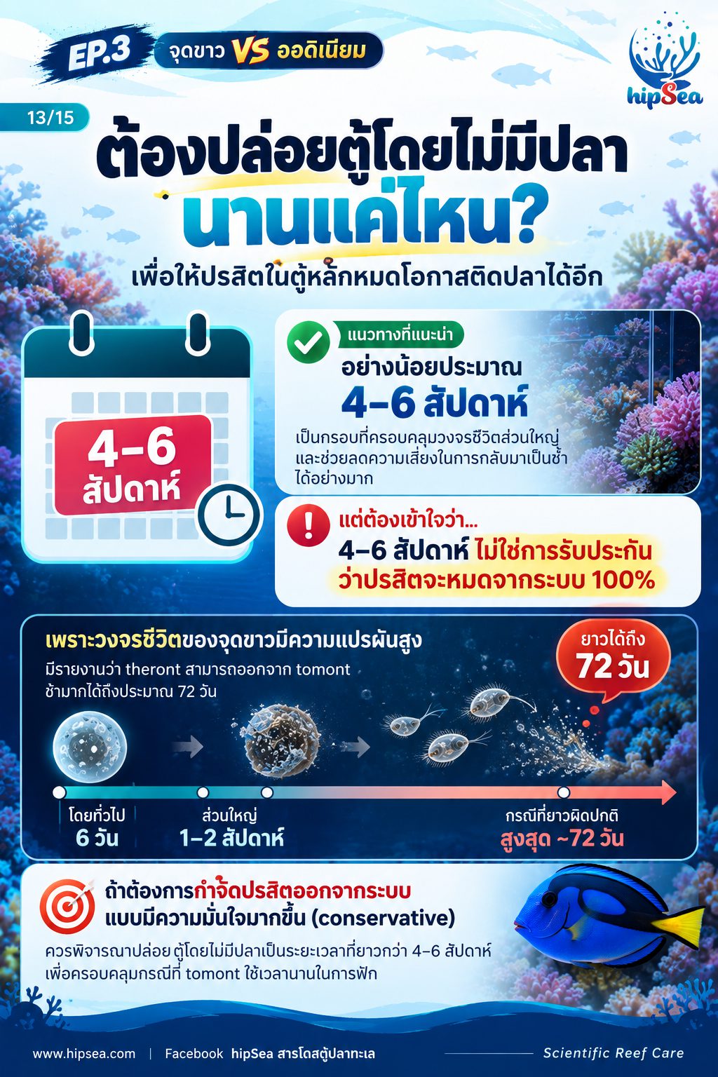 จุดขาว vs ออดิเนียม EP3 - โรค, ป่วย, กัก, รักษา
