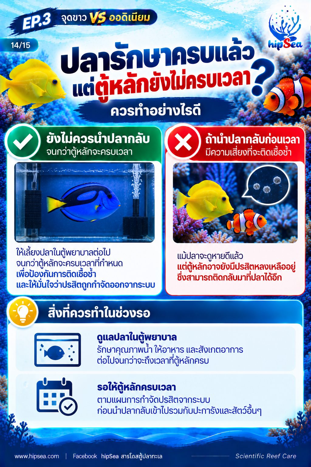 จุดขาว vs ออดิเนียม EP3 - โรค, ป่วย, กัก, รักษา