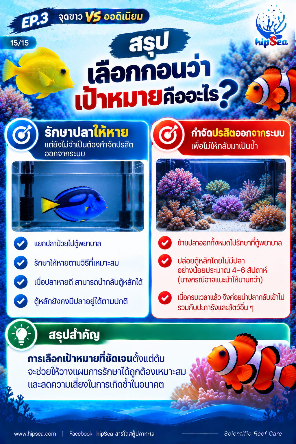 จุดขาว vs ออดิเนียม EP3 - โรค, ป่วย, กัก, รักษา