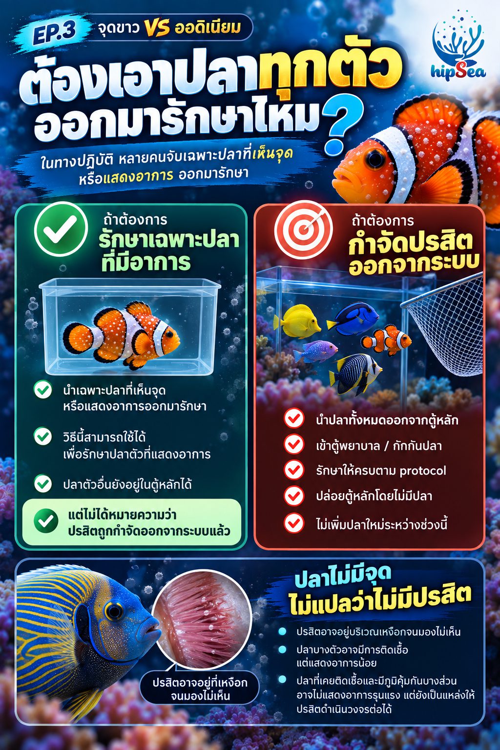 จุดขาว vs ออดิเนียม EP3 - โรค, ป่วย, กัก, รักษา