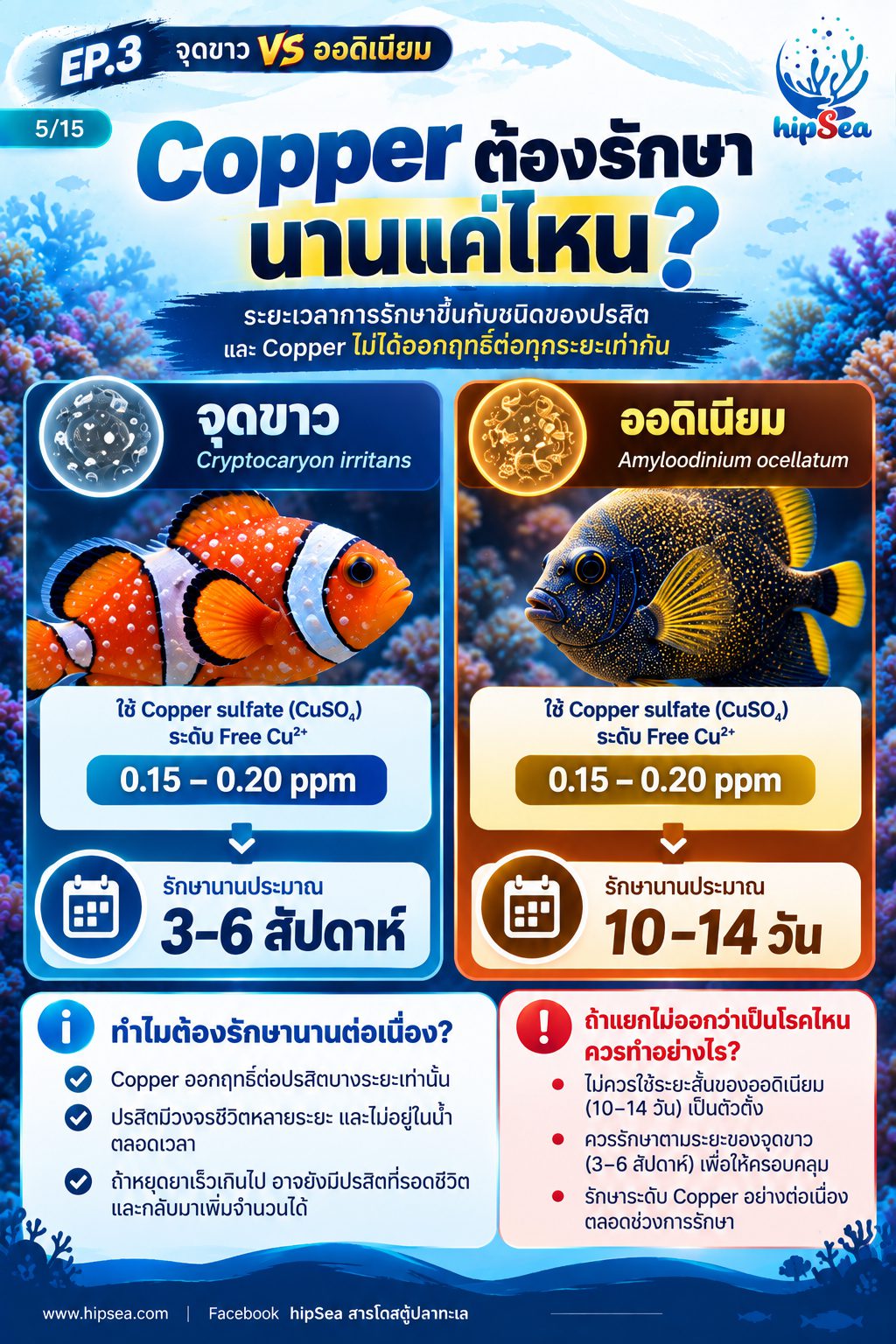 จุดขาว vs ออดิเนียม EP3 - โรค, ป่วย, กัก, รักษา