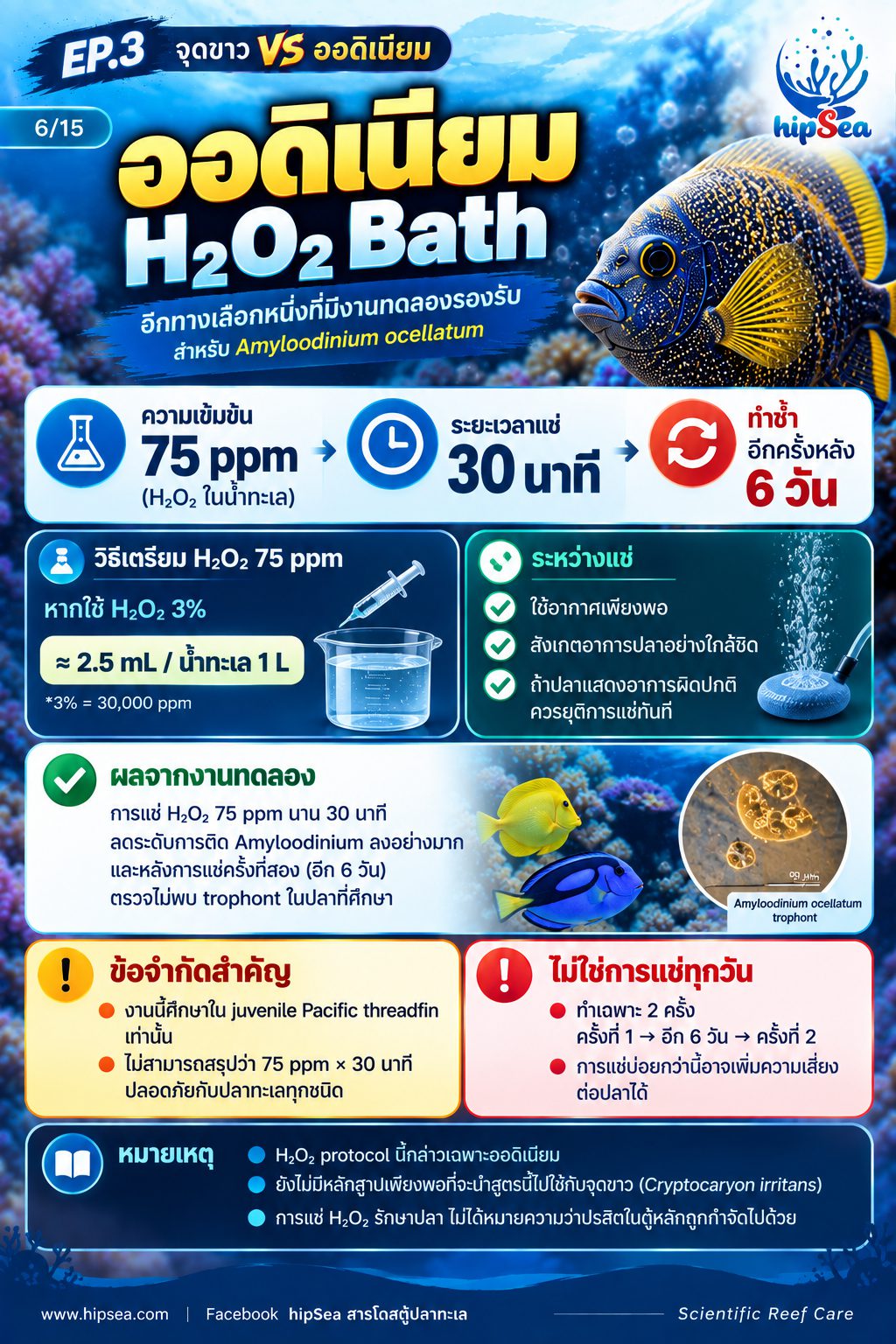 จุดขาว vs ออดิเนียม EP3 - โรค, ป่วย, กัก, รักษา