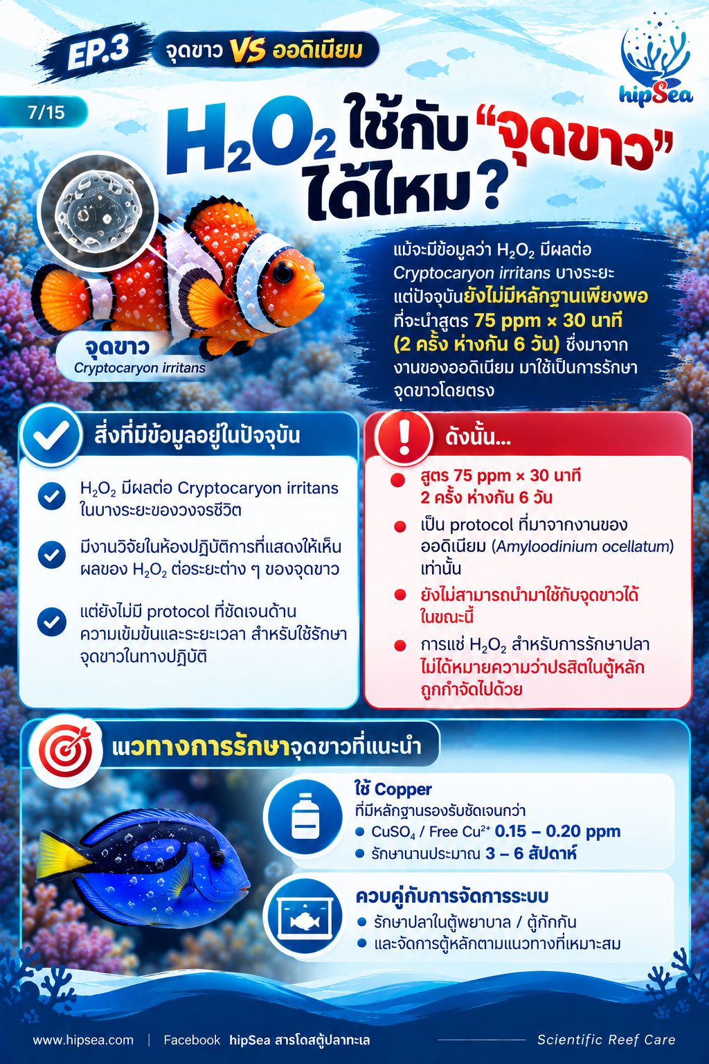 จุดขาว vs ออดิเนียม EP3 - โรค, ป่วย, กัก, รักษา