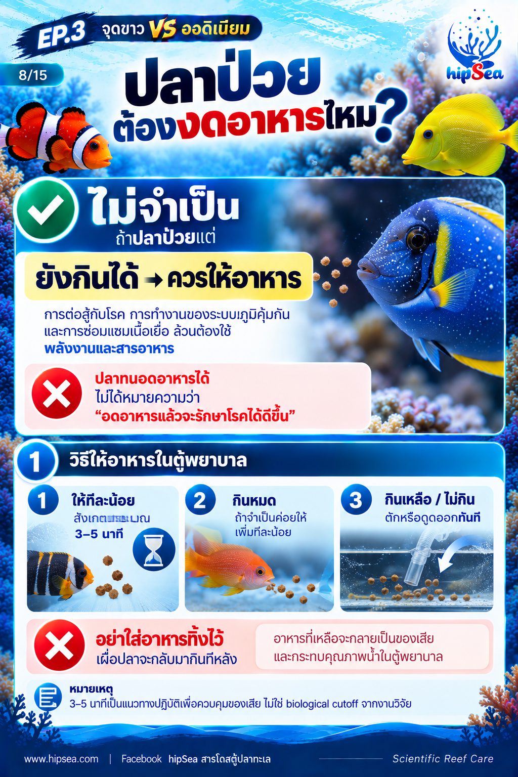 จุดขาว vs ออดิเนียม EP3 - โรค, ป่วย, กัก, รักษา
