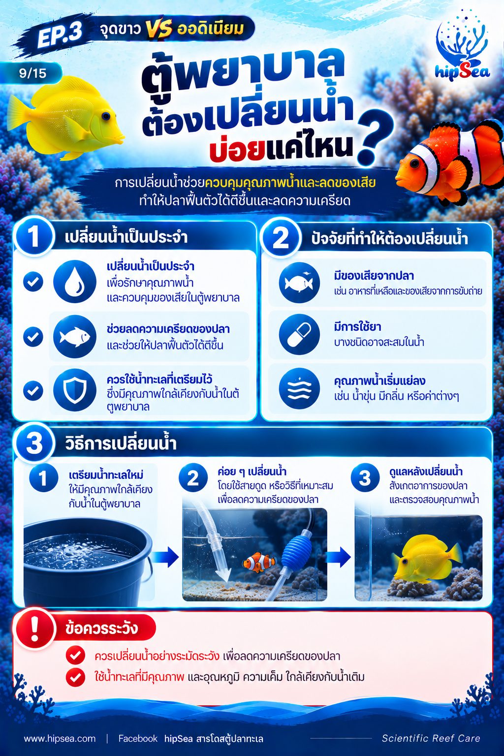 จุดขาว vs ออดิเนียม EP3 - โรค, ป่วย, กัก, รักษา