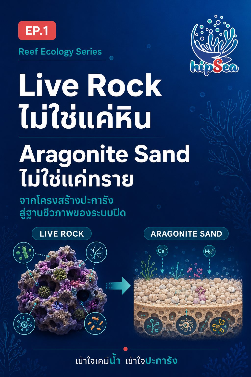 Live rock EP1