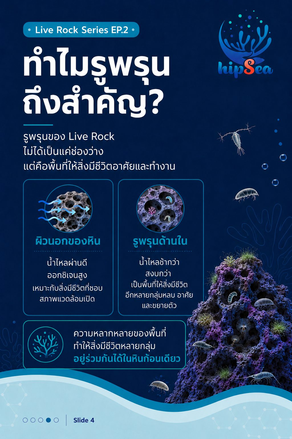 Live rock EP2