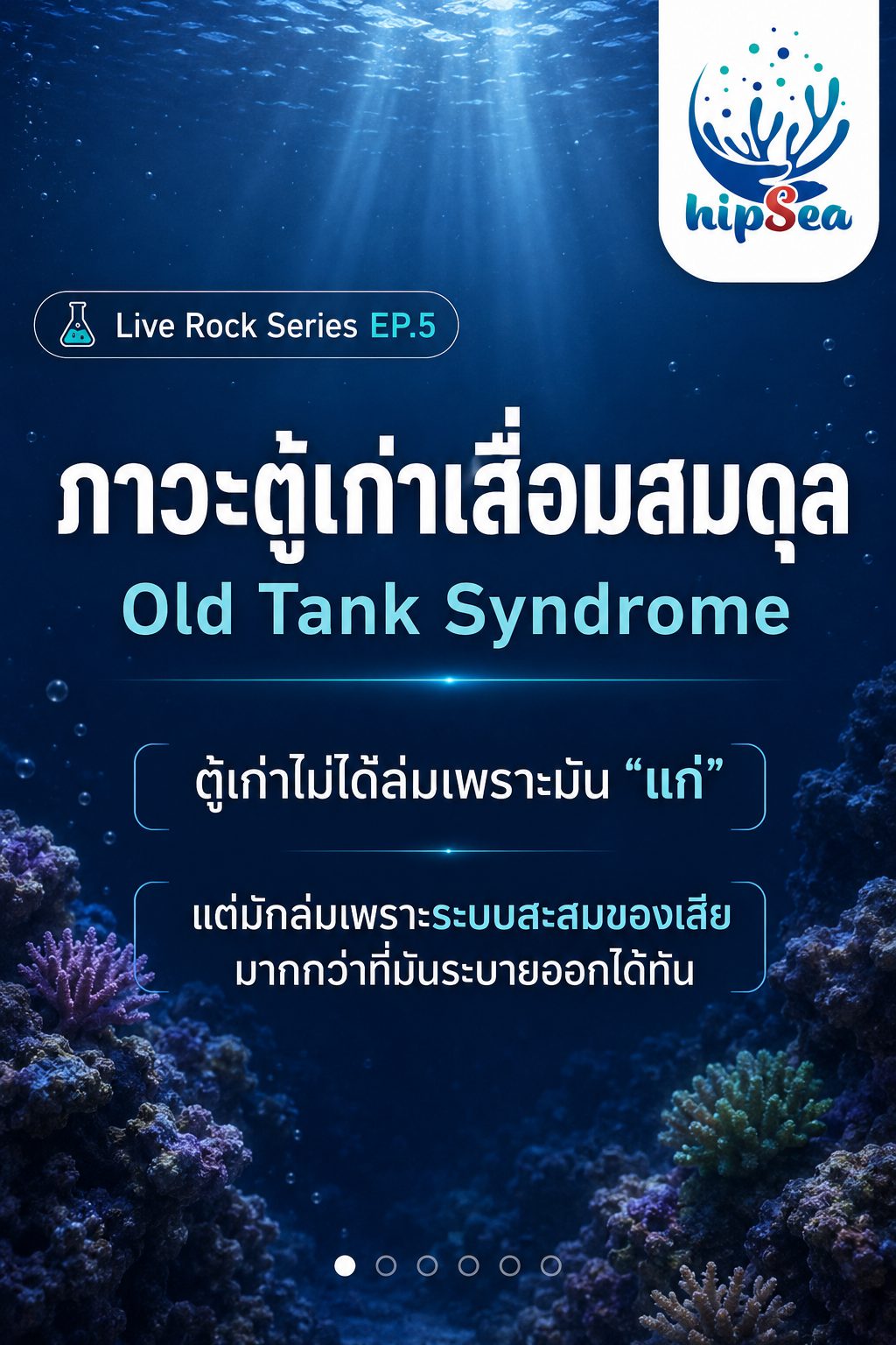 Live rock EP5