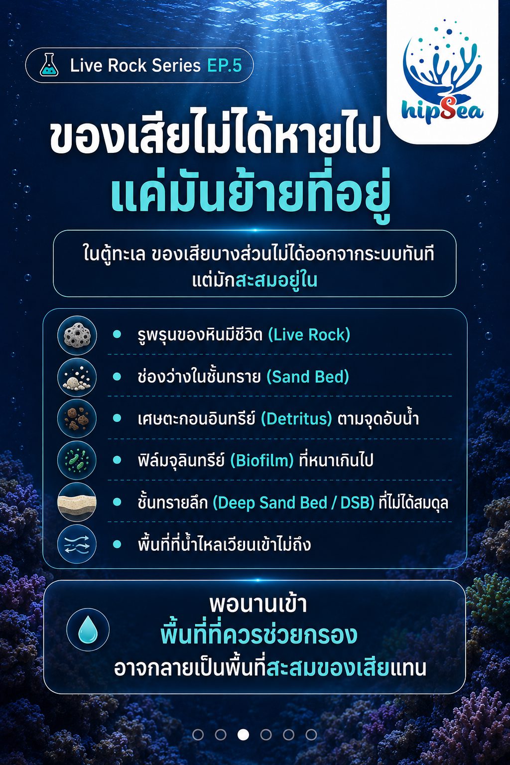 Live rock EP5